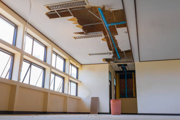 Best Water damage contractors near me  in Osawatomie, KS