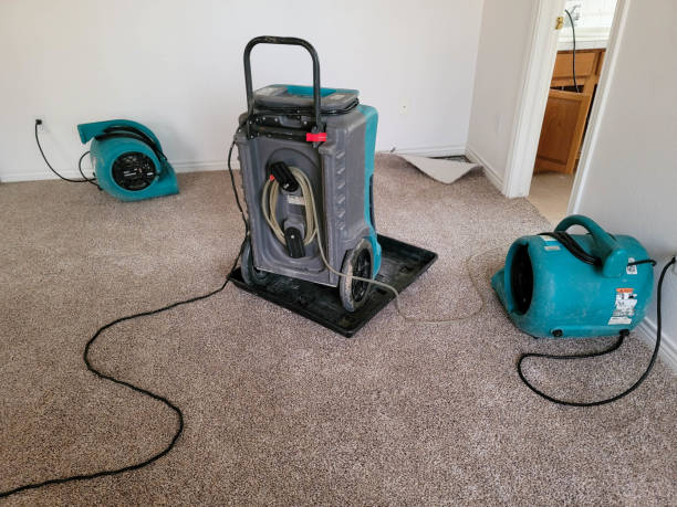  Osawatomie, KS Water damage restoration Pros