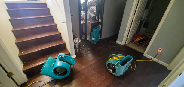 Best Local water damage restoration  in Osawatomie, KS