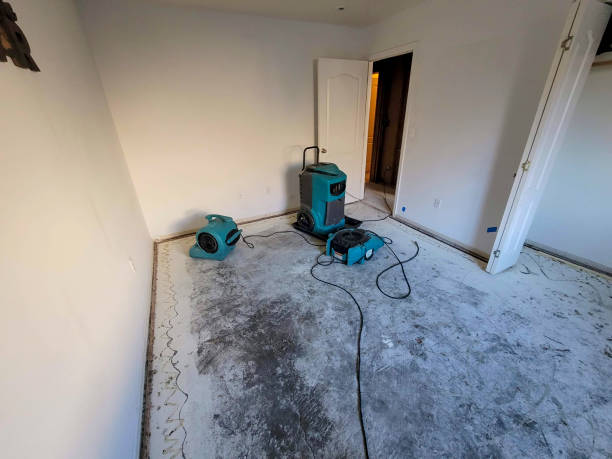 Professional Water damage restoration in KS