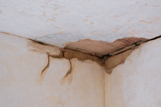 Best Flood damage cleanup  in Osawatomie, KS