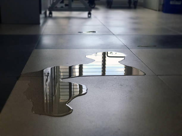 Best 24-hour water damage restoration  in Osawatomie, KS
