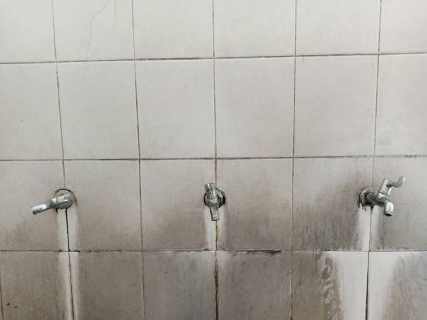 Best Ceiling water damage repair  in Osawatomie, KS
