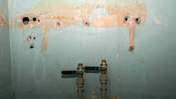 Best Commercial water damage restoration  in Osawatomie, KS