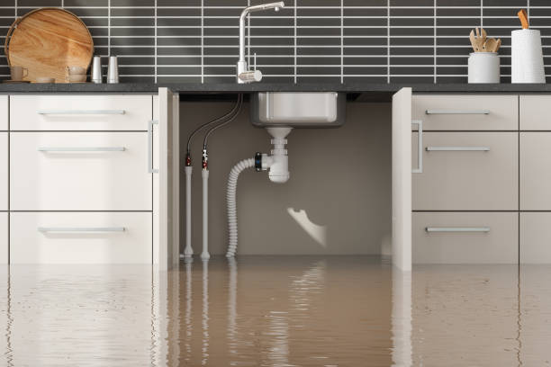 Best Water damage repair service  in Osawatomie, KS