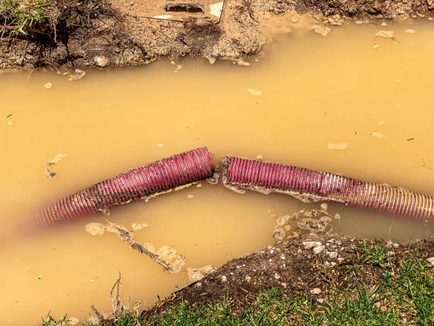 Best Carpet water damage restoration  in Osawatomie, KS