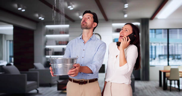 Best Flooded house restoration  in Osawatomie, KS