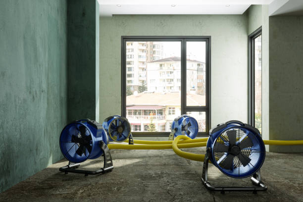 Best Mold removal after water damage  in Osawatomie, KS